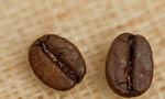 モカ【コーヒー豆の種類】
