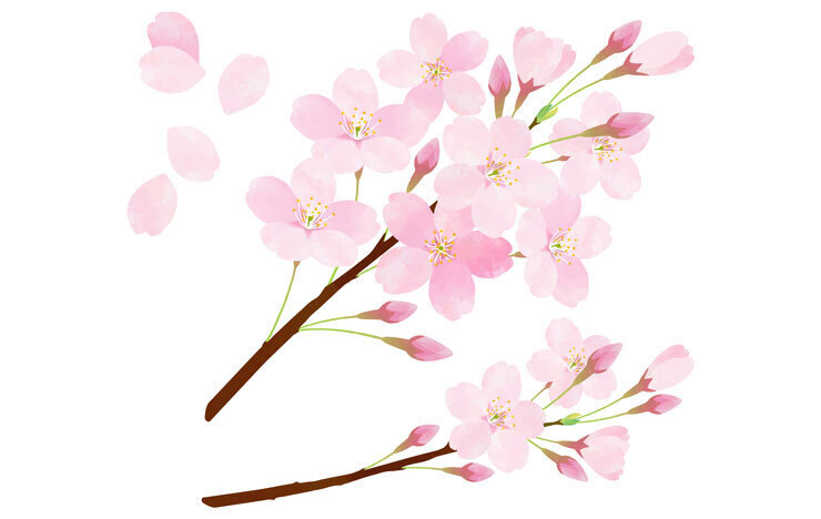 小阪裕司コラム】第175回：あなたにとって当たり前のことが｜USENの