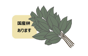【小阪裕司コラム】第226回：「需要がない」は、思い込みだった