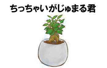 【小阪裕司コラム】第245回：ささやかな改善が大きな成果に