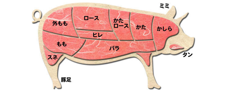 豚肉の部位を知る！