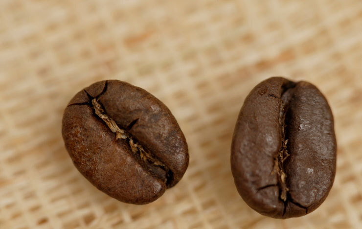 モカ【コーヒー豆の種類】_記事画像