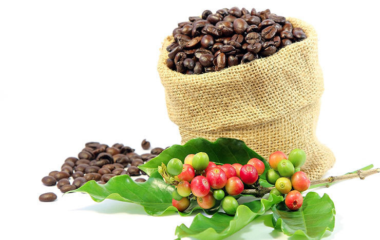 ハワイコナ【コーヒー豆の種類】_記事画像