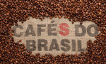 ブラジル【コーヒー豆の種類】