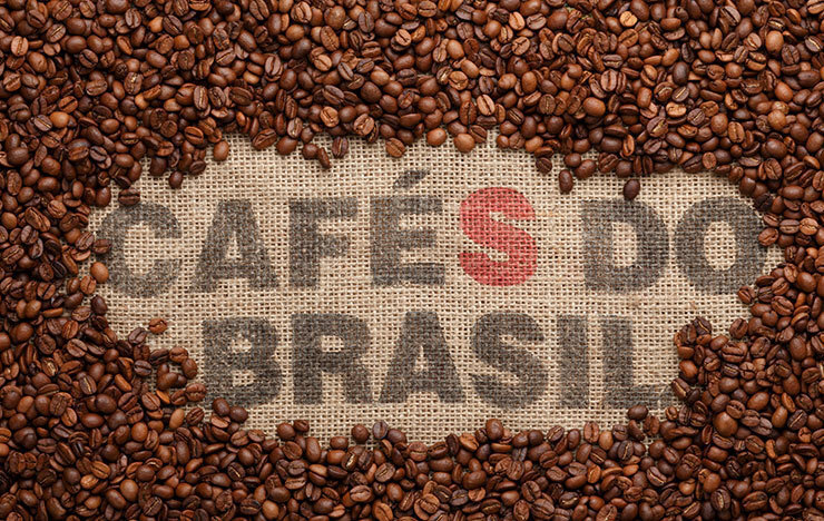 ブラジル【コーヒー豆の種類】_記事画像