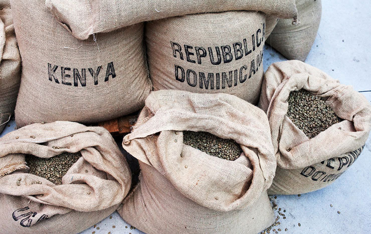 ケニア【コーヒー豆の種類】_記事画像