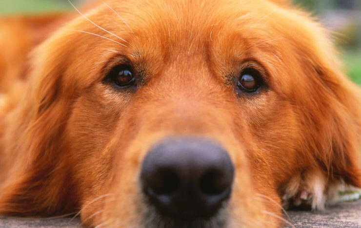 起業のアイデアは、まず、〇〇〇を身に付けろ！_記事詳細画像1