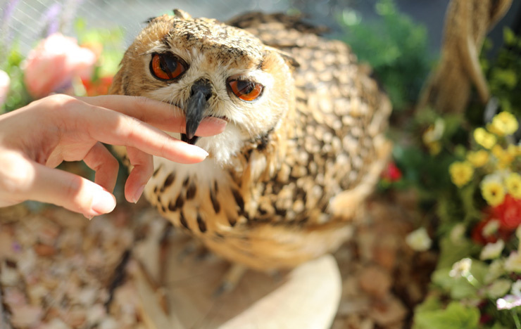 知識・スキルが向上しないと「お金」に強くはならない_記事詳細画像1