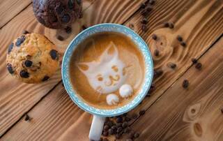 猫カフェで飲食物を調理して提供するケースは営業許可が必要