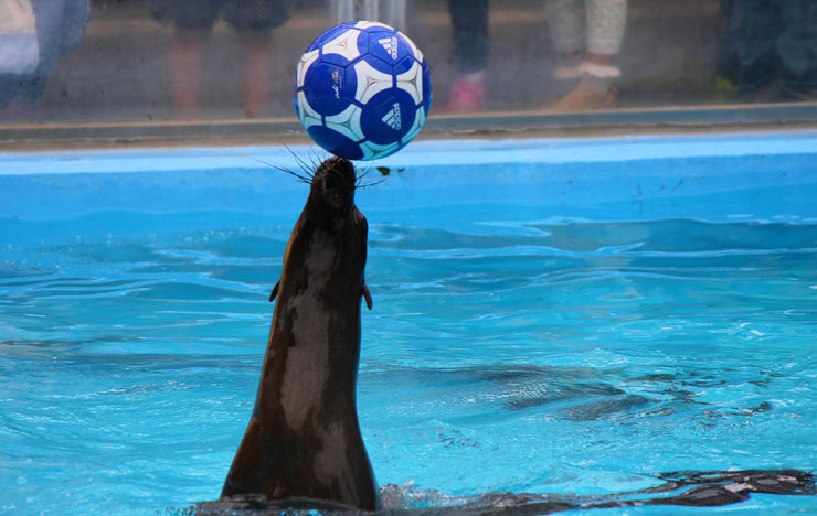 安定経営を生み出す開業資金とは？_記事詳細画像4