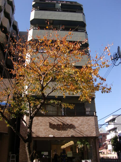 池上駅 徒歩2分 1階路面店 駅近好立地 スケルトン 視認性抜群　 (174109)