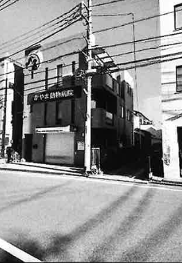 矢部駅 徒歩20分 現況:その他 その他居抜きなど物件 【飲食不可】 (174161)