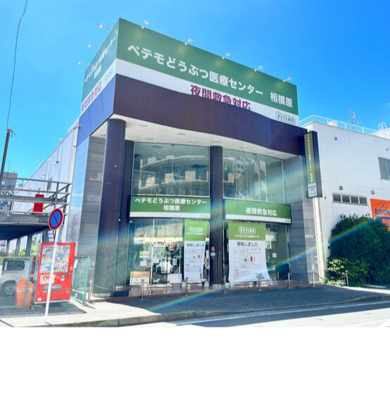 古淵駅 徒歩2分 現況:その他 その他居抜きなど物件 【飲食不可】 (178272)