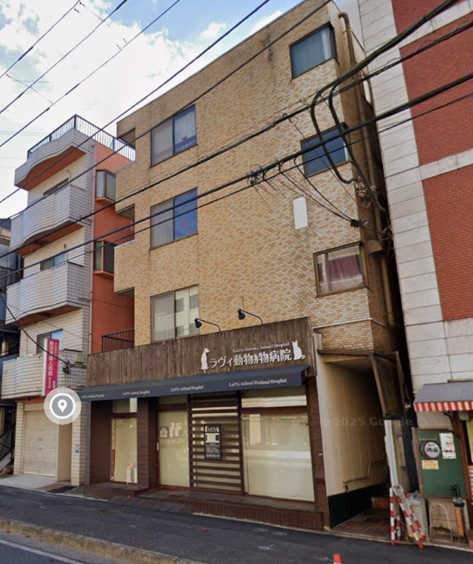 【KKM1128】綱島駅徒歩圏内！視認性良好！前テナント動物病院！検査済み証無！ (182604)