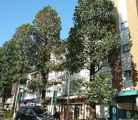 たまプラーザ駅 徒歩3分 2F スケルトン物件 【重飲食可】 (197342)