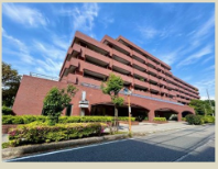 津田沼駅 徒歩10分 1F スケルトン物件 【軽飲食可】 (200429)