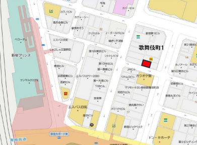 歌舞伎町一丁目ゴジラロード·一番街至近の好立地 (200750)