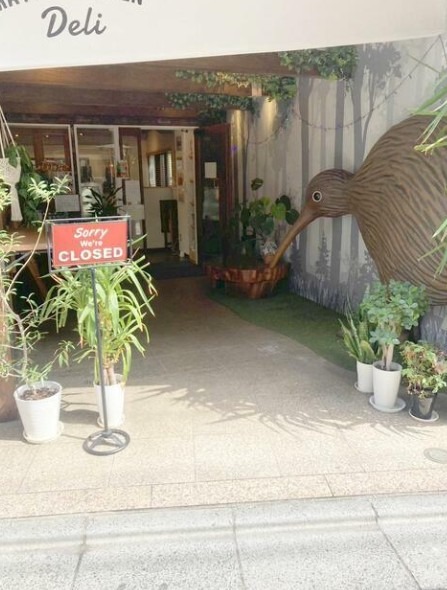 経堂駅徒歩1分 カフェ居抜き 1階(11972) (205051)