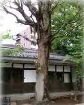 千駄木駅 徒歩11分 1F 現況:その他 その他居抜きなど物件 【和食専門店限定】 (219327)
