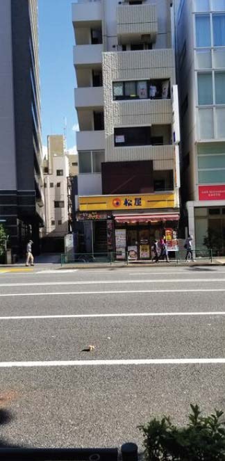 四谷三丁目駅徒歩1分 賃料33.9万円 21.9坪 【飲食不可】 (221966)
